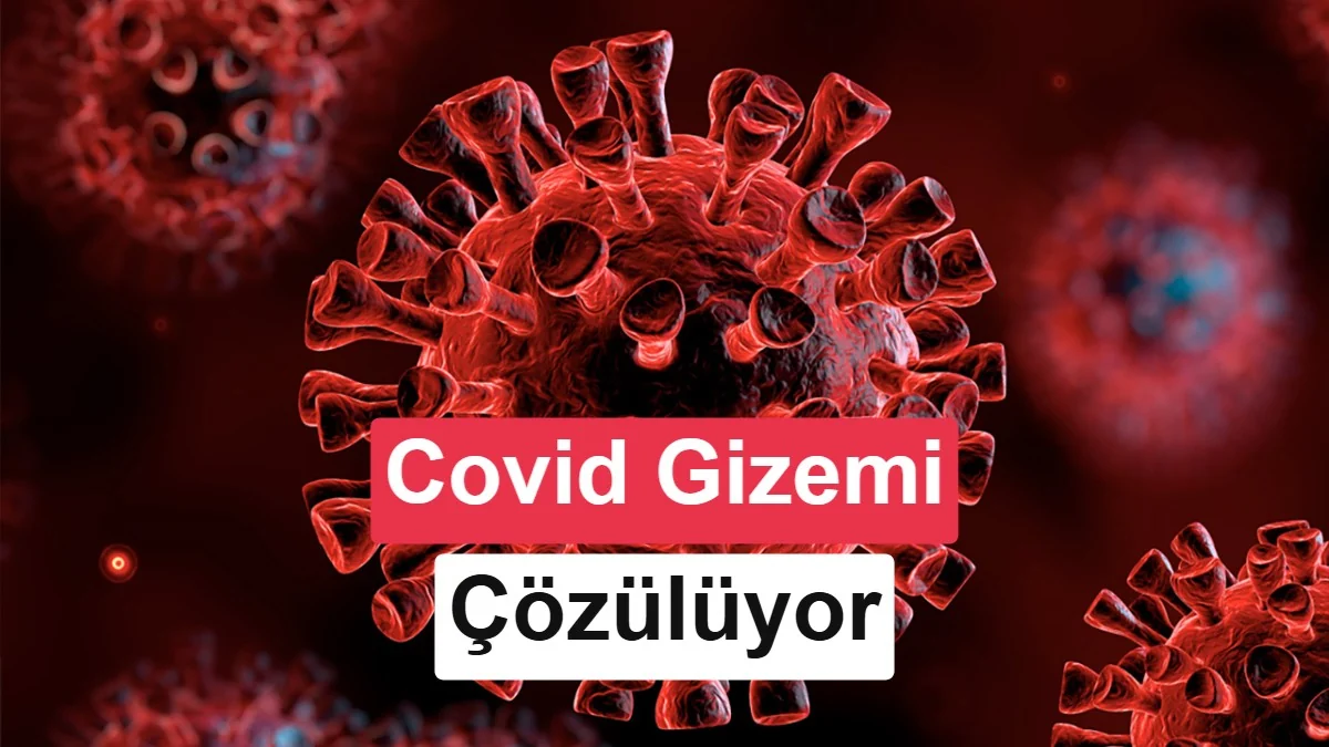Covid-19 neden bazı insanlarda çok daha ağır geçti? Bilim dünyası cevabı bulmuş olabilir