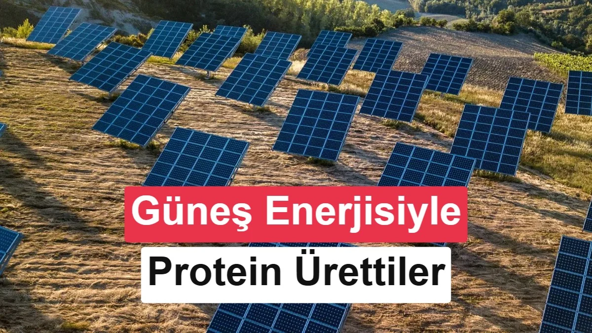 Geleceğin protein fabrikası: Güneş enerjisiyle CO2'den amino asit üretildi