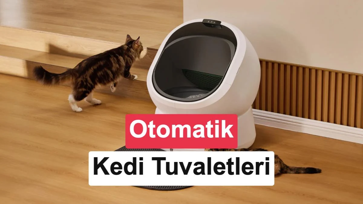 Kediler için en iyi akıllı/otomatik tuvalet modelleri