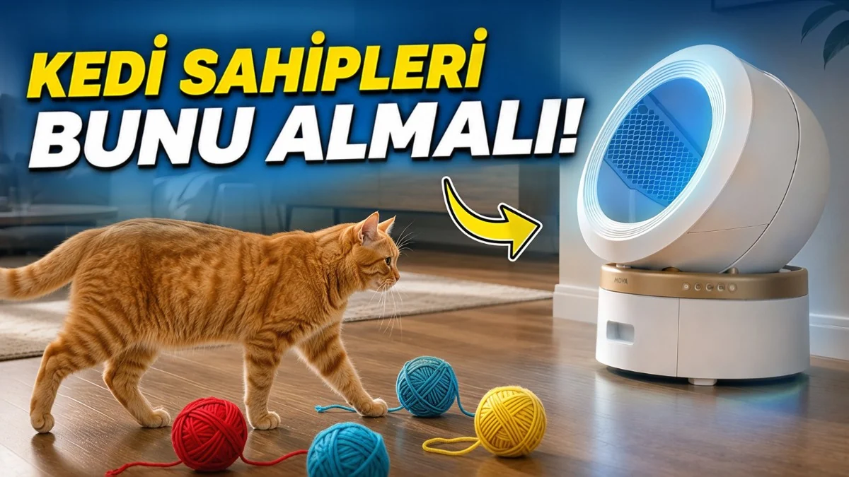 Otomatik Kedi Tuvaleti Alacaklar İzlesin! MOVA LR10 Prime İncelemesi