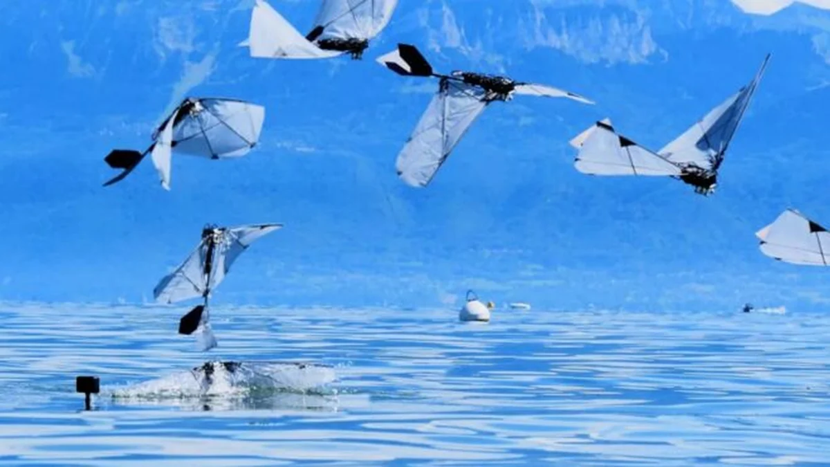 Su altında yüzebilme yeteneğine sahip bir robot kuş üretildi [Video]